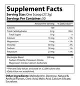 Recovery Carb + Electrolytes Summer Punch